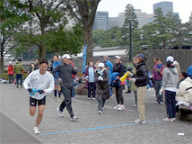 3つの団体の市民ランナーが20チームに
分かれて駅伝を楽む。
皇居一周で一本のタスキをつないでいく。
(撮影:穂高健一、1月11日、東京・千代田区)